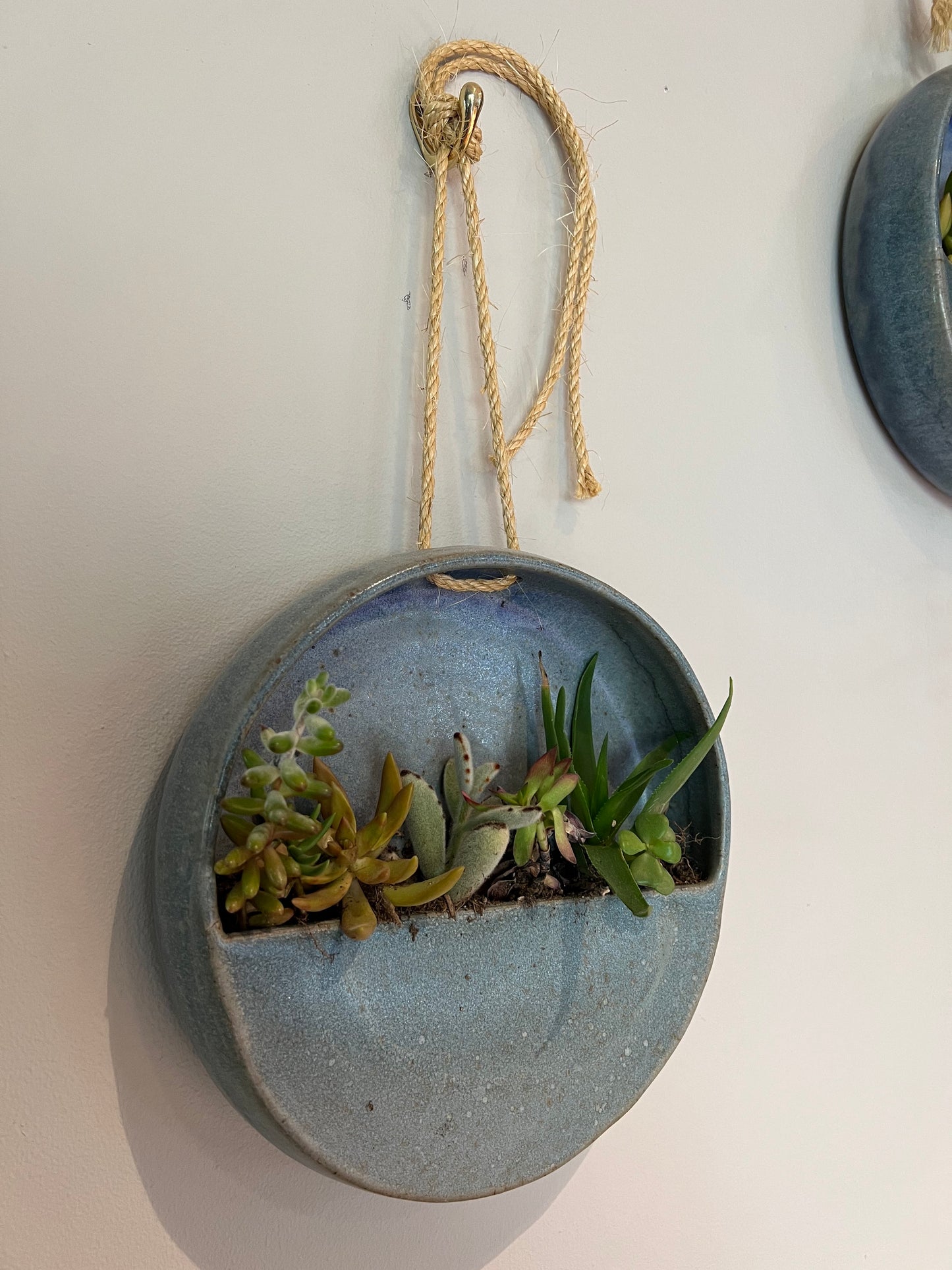 Hanging Circle Planter